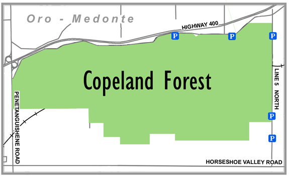 Copeland Forest locator map