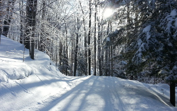 Copeland Nordic Ski trail