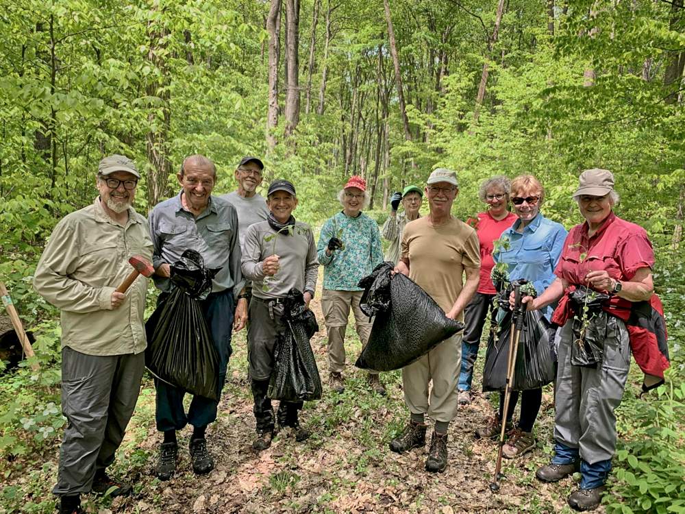 a group of male and female volunteers pose while protecting the copeland forest from the garlic mustard invasive species