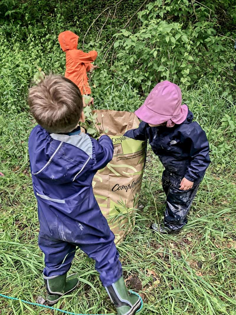 three young children help collect the invasive garlic mustard plants pulled by volunteers