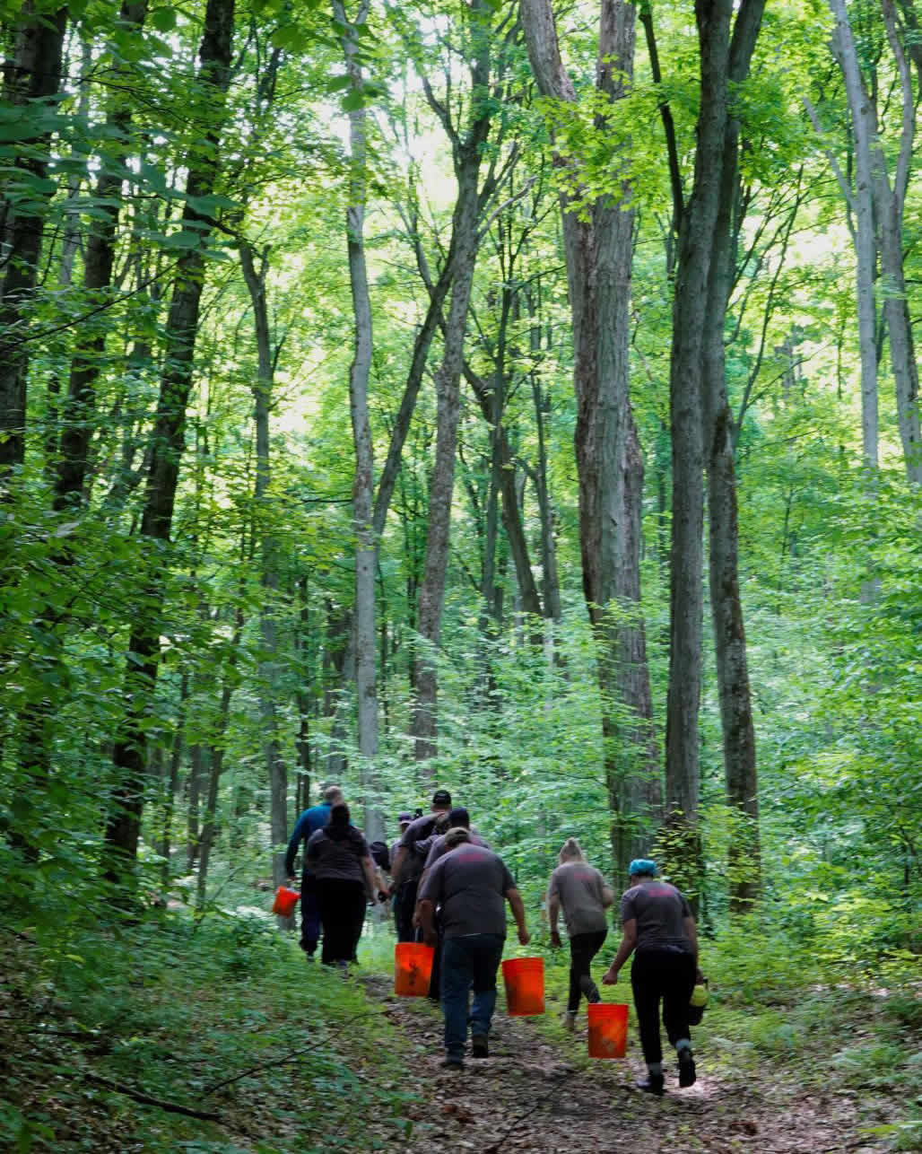 volunteers carrying orange buckets walking on a trail in the copeland forest