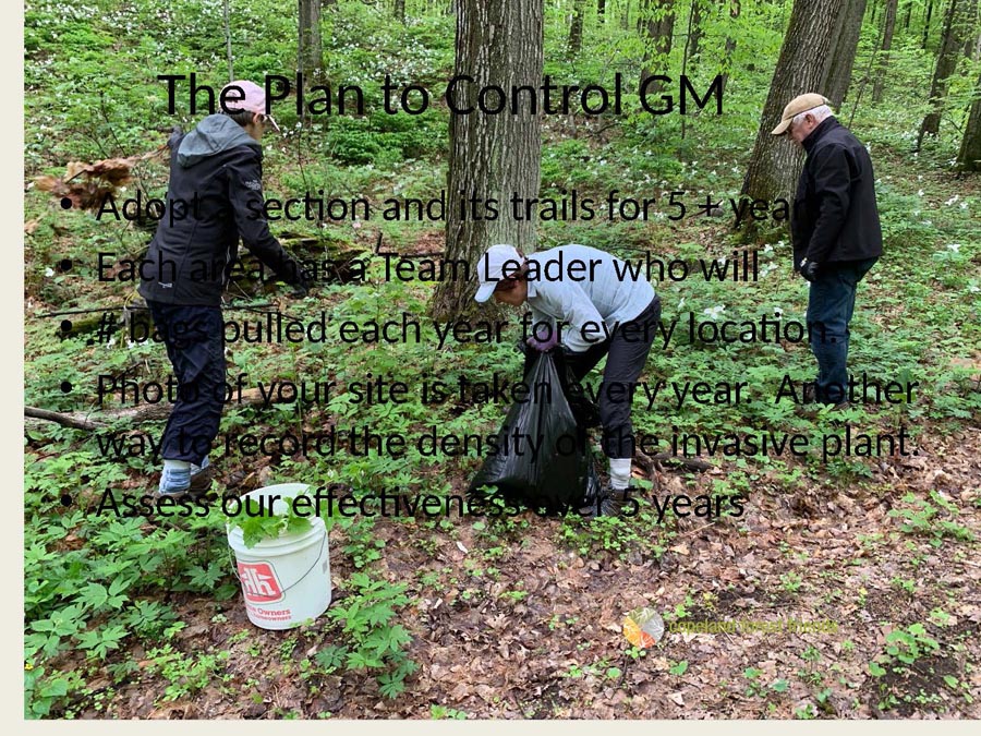 2021-GM-PowerPt_Page_19