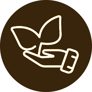 icon for the naturalists activity in the Copeland Forest