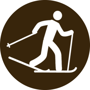 icon for the snow sports activity in the Copeland Forest