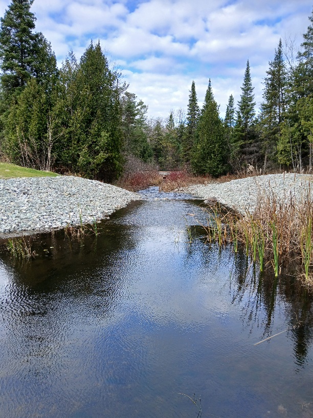Duck Pond 3 Duck Pond 3