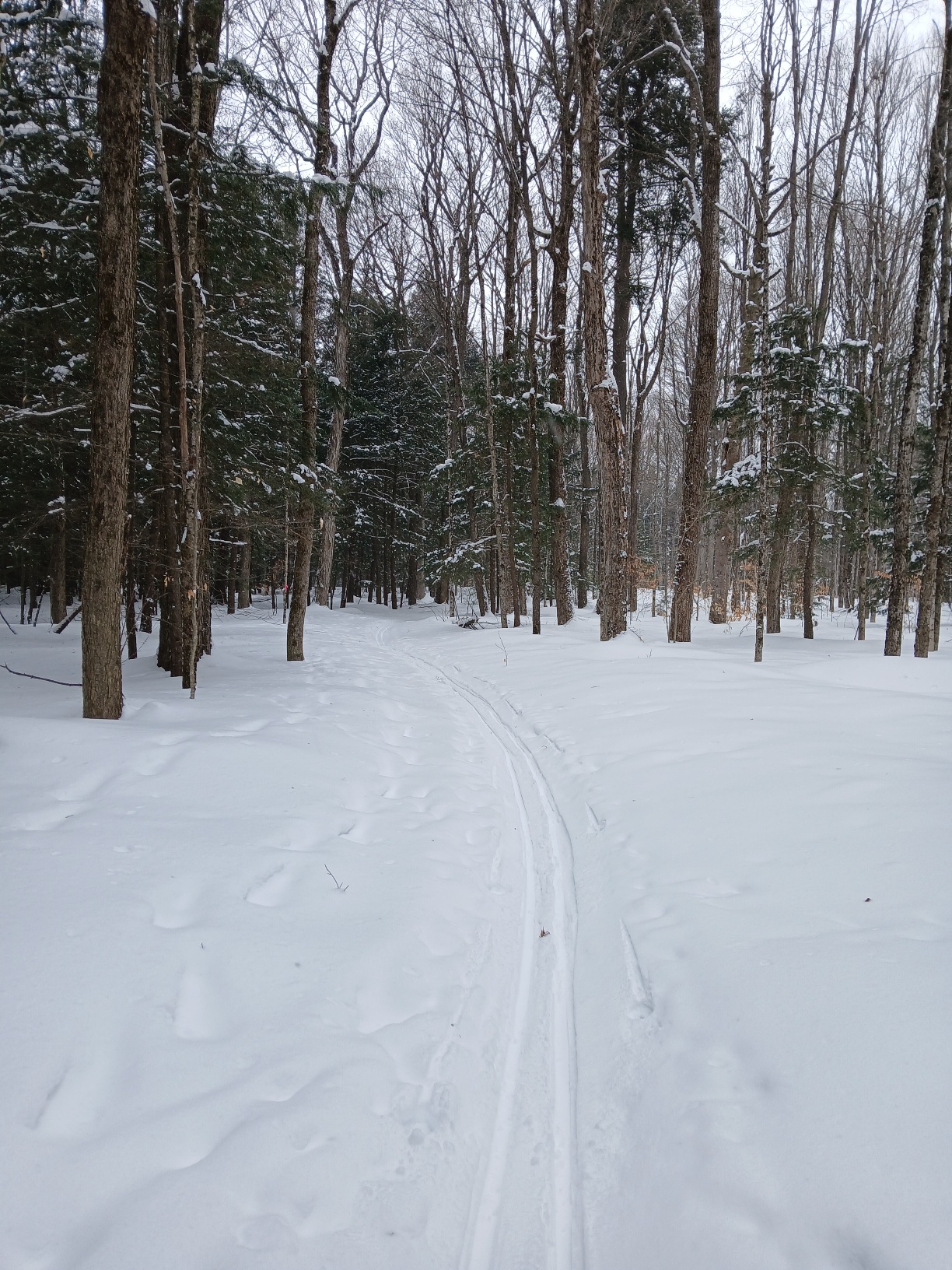 20260121_102037 20260121_102037