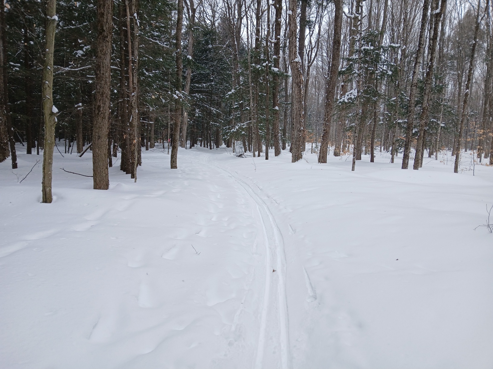 20260121_102048 20260121_102048